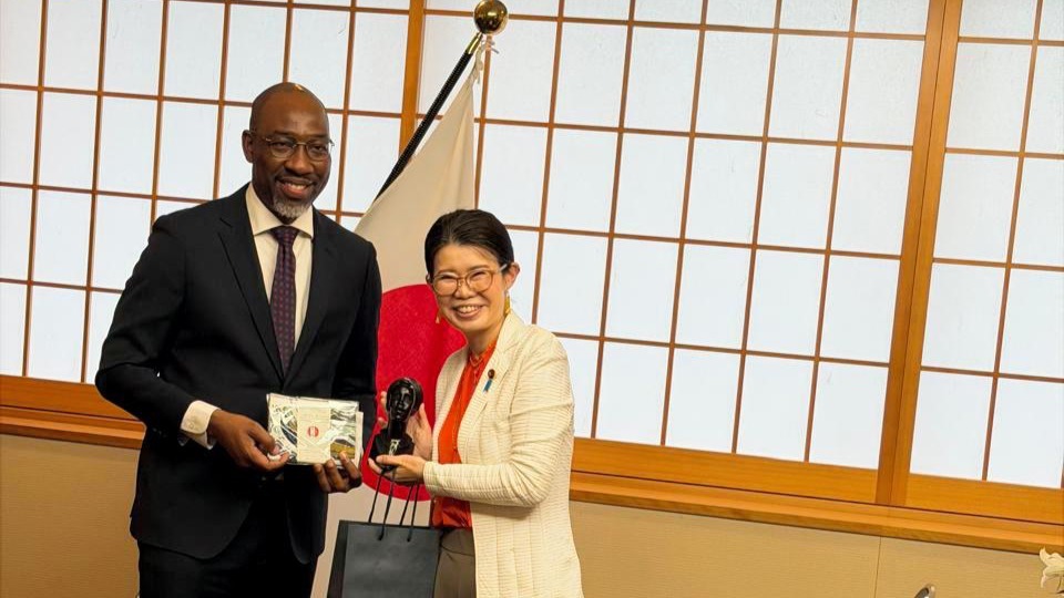 Cooperação Bilateral Moçambique-Japão 